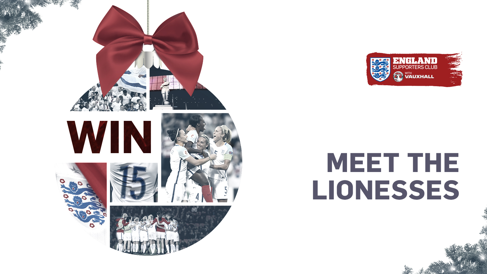 Meet the Lionesses!